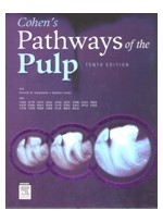 (한글판)Cohen's Pathways of the Pulp Expert Consult, 제10판