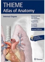 Internal Organs (THIEME Atlas of Anatomy) , 2/e 