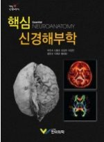 핵심신경해부학(Essential Neuroanatomy)