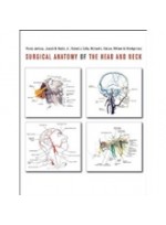 Surgical Anatomy of the Head & Neck 