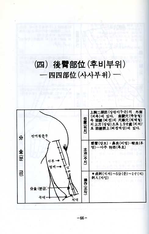 동씨침구기혈과기방