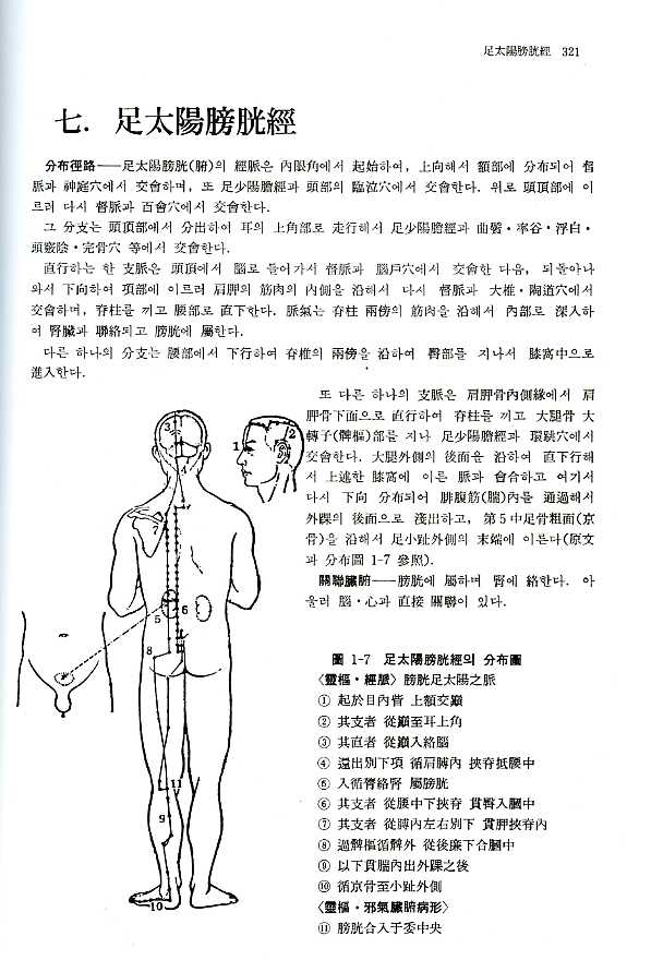 경혈학총서 [經穴學叢書] 경혈해부도