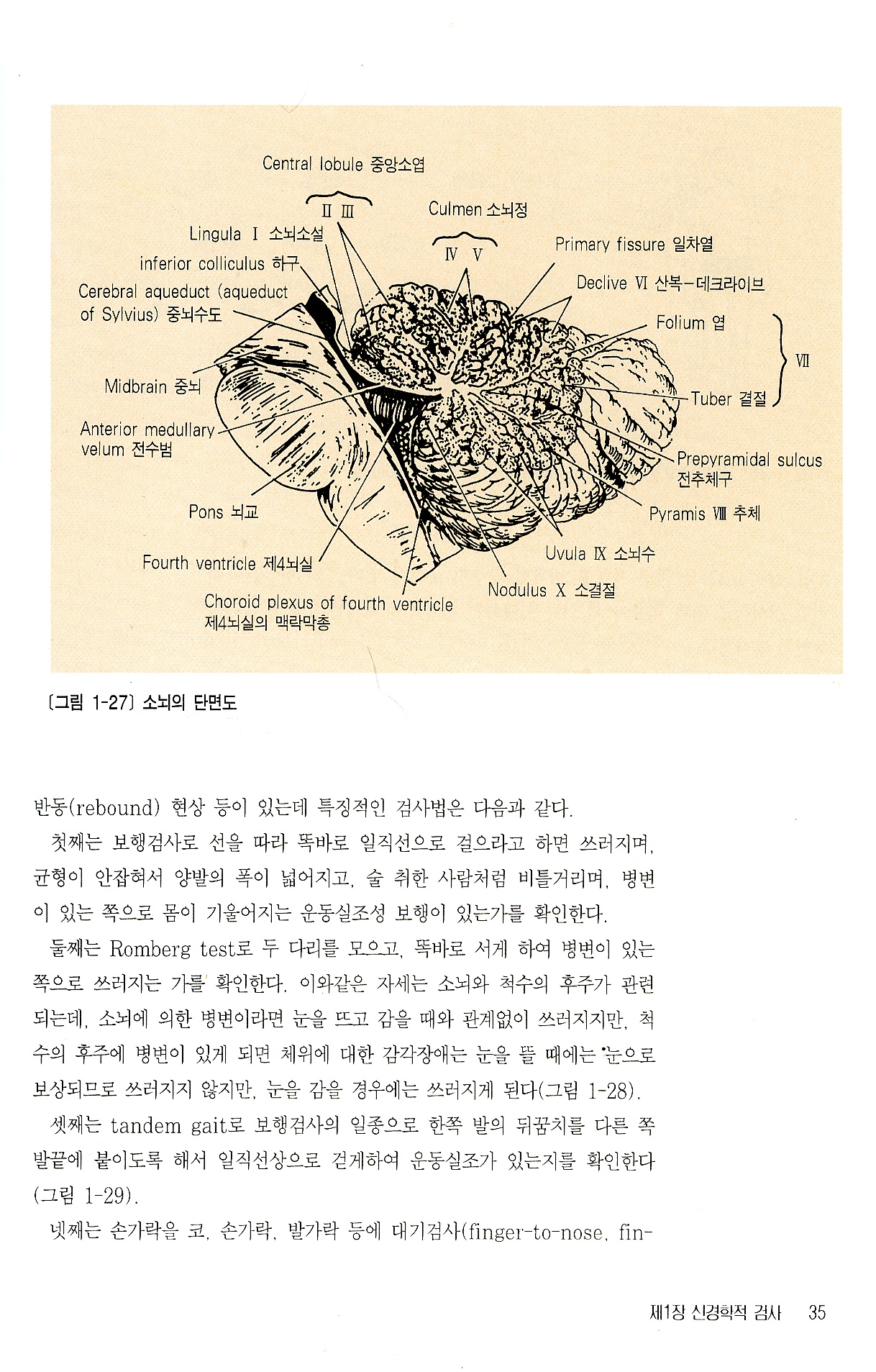 마비질환크리닉