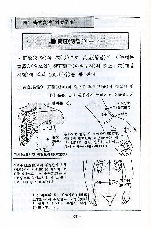 간병의각종비방[肝病의各種秘方]