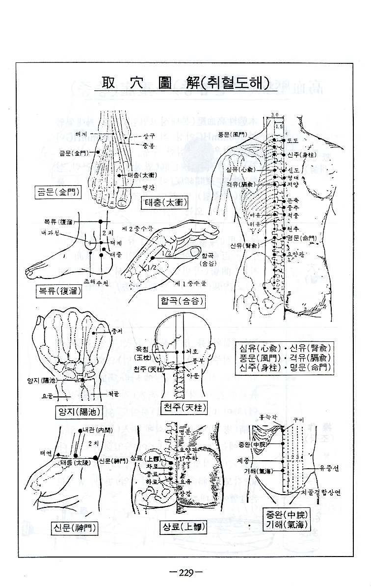 금침의비방