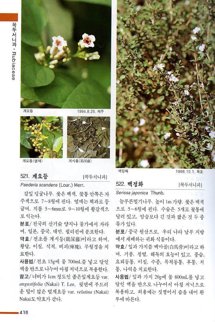 한국의약용식물