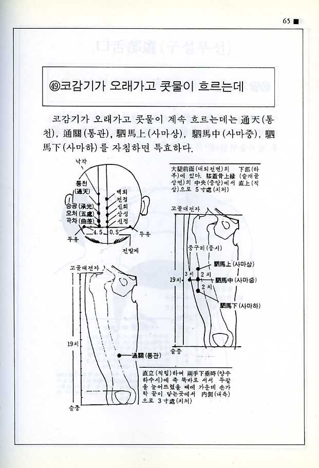 명가침구비방육백선[상권]