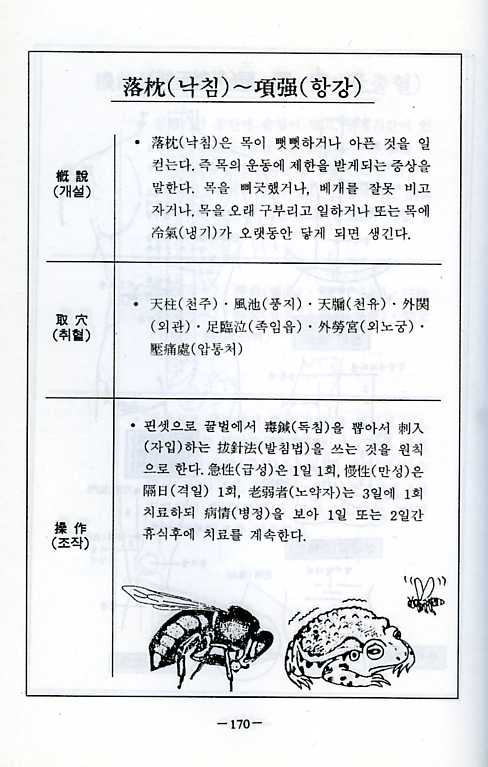 벌침봉침의비방