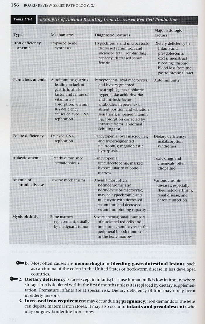 Pathology (Board Review Series) 3th