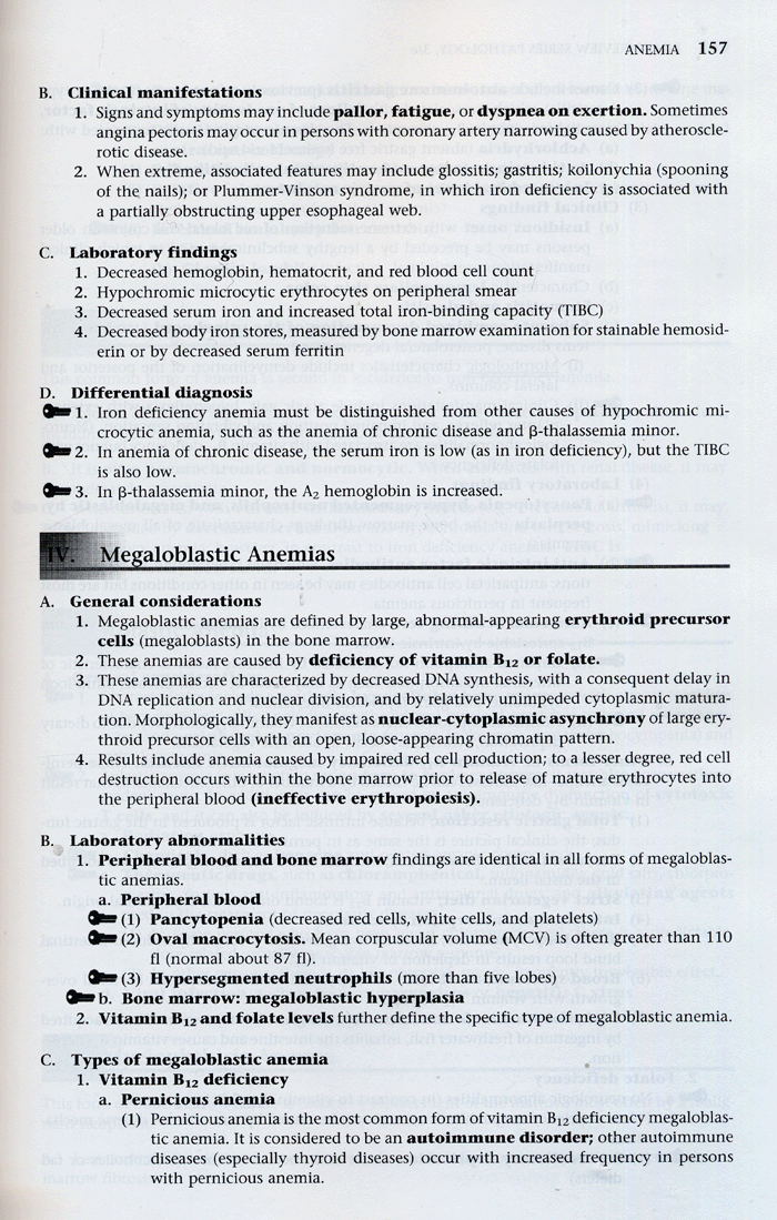 Pathology (Board Review Series) 3th