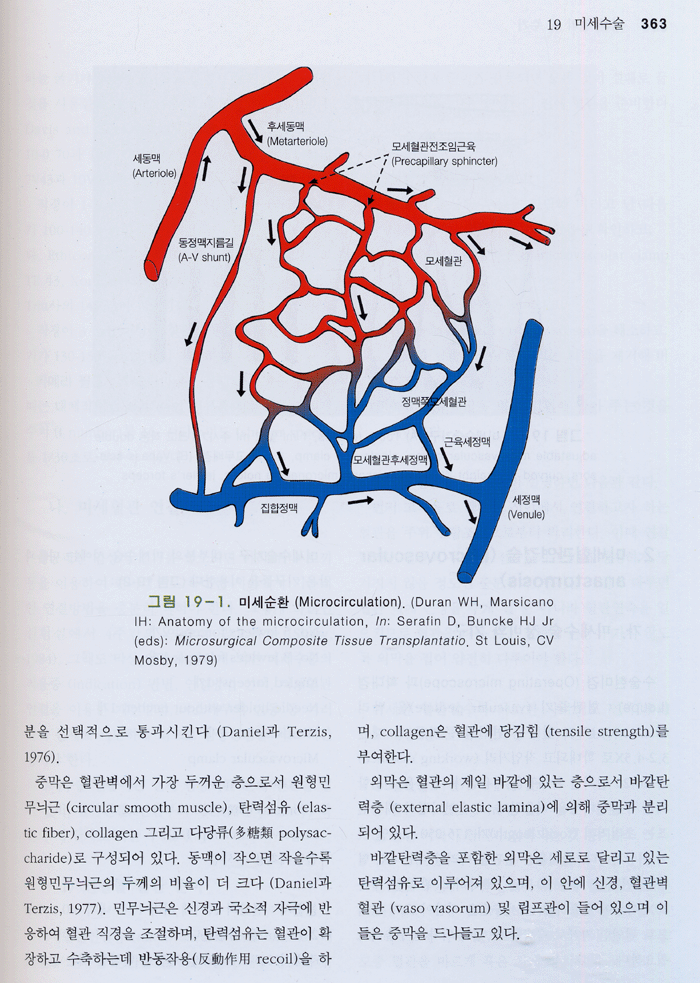 강진성 성형외과학(6 권 세트),3/e(Plastic Surgery)