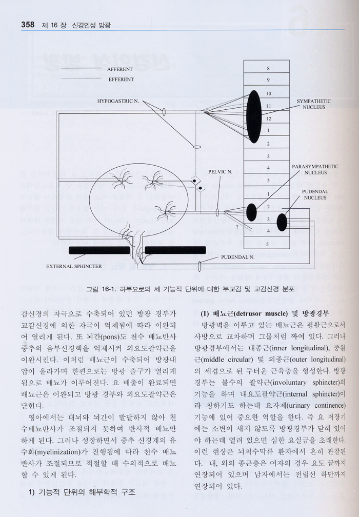 비뇨기과학 제3판