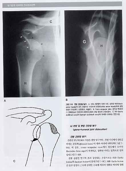 알기쉽게 이해하는 임상방사선학