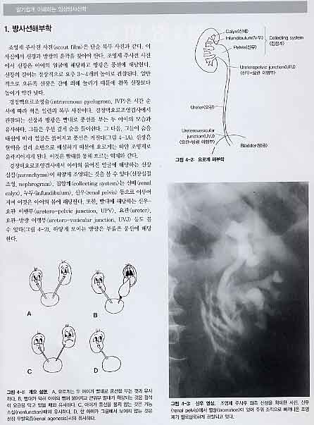 알기쉽게 이해하는 임상방사선학