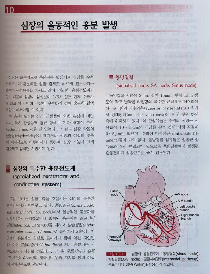 의학 생리학 10판 [가이톤 번역서]