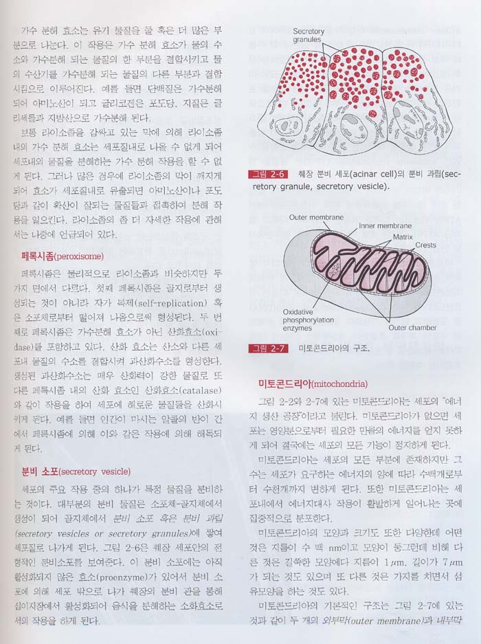 의학 생리학 10판 [가이톤 번역서]