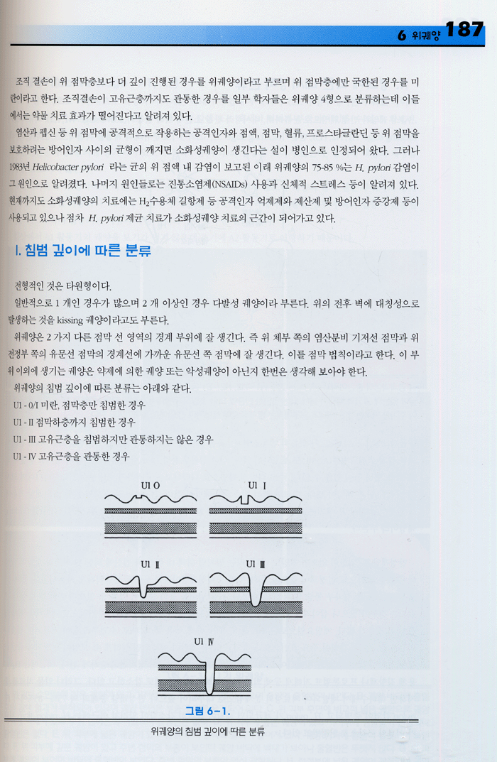 상부 위장관 내시경 ATLAS