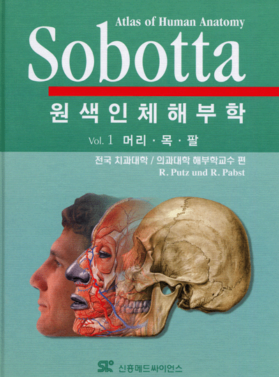 Sobotta 원색인체해부학 2Vols 13판번역