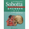 Sobotta 원색인체해부학 2Vols 13판번역