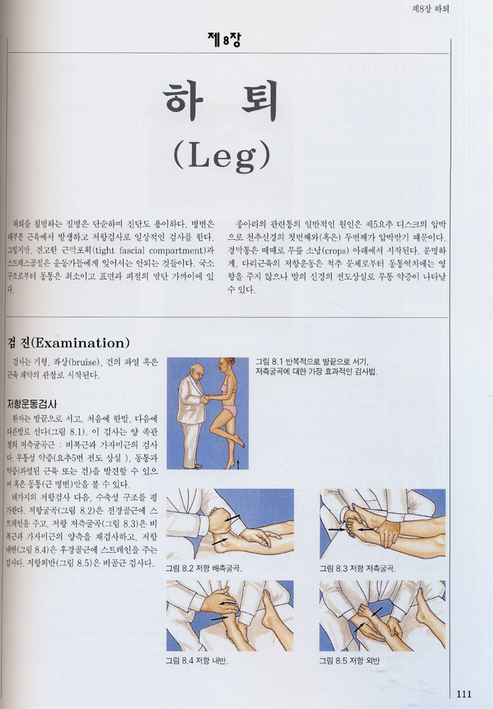 정형의학 [Cyriaxs 번역] 개정2판