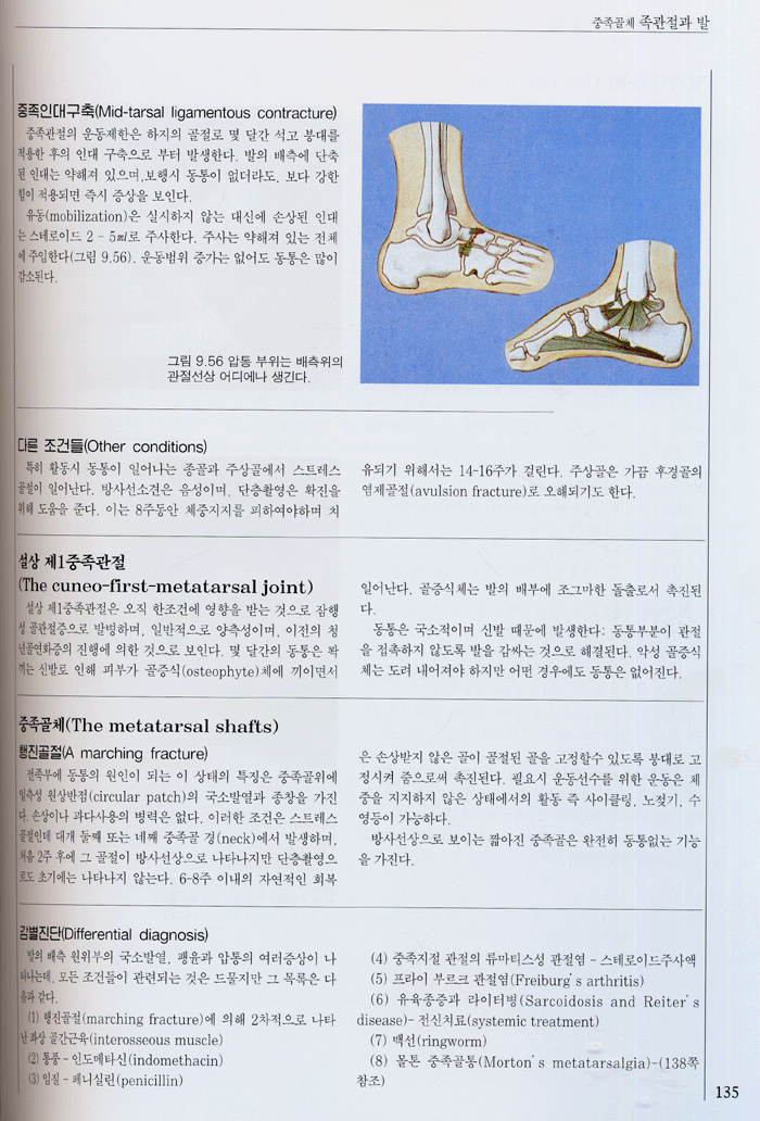 정형의학 [Cyriaxs 번역] 개정2판