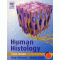 Human Histology 3th