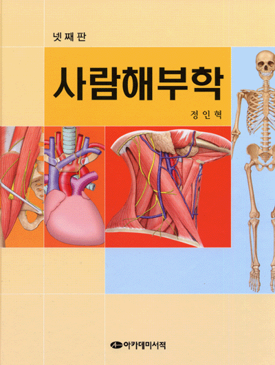 사람해부학 넷째판