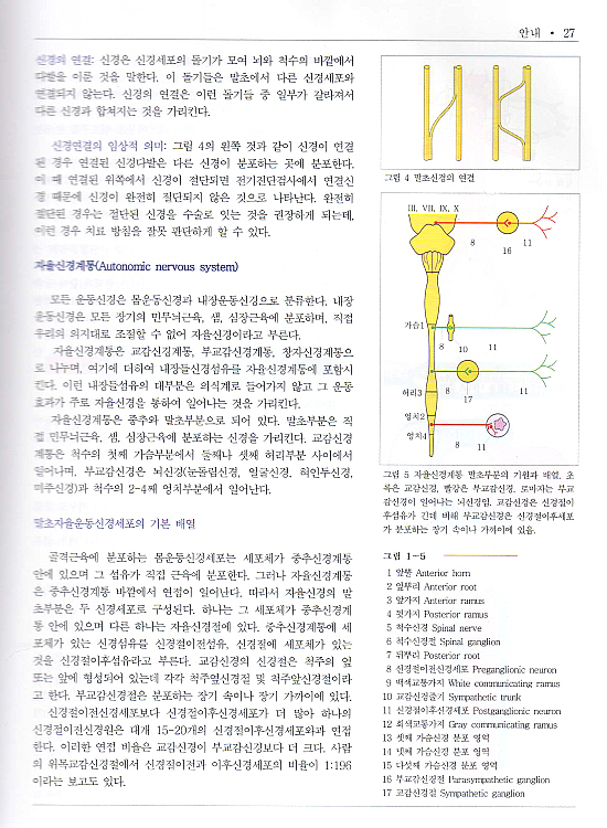 사람해부학 넷째판