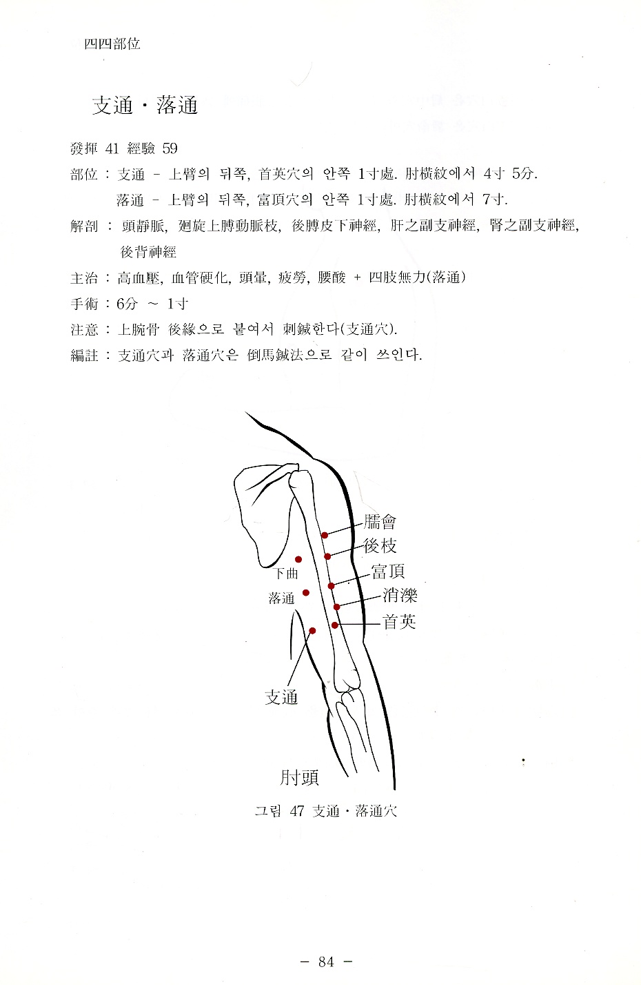 동씨침구학 (개정)