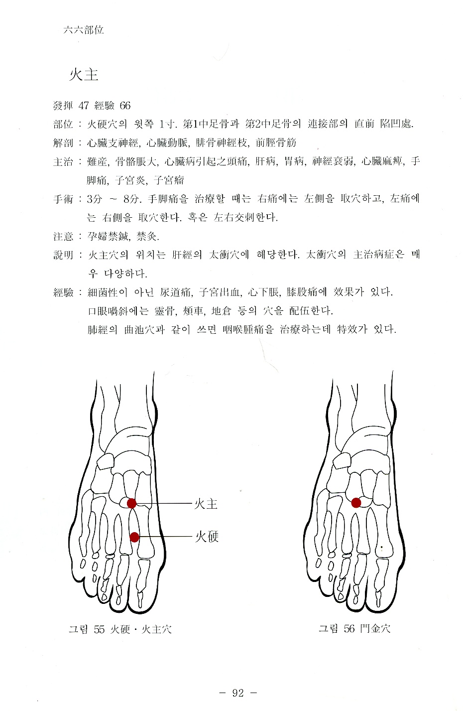 동씨침구학 (개정)