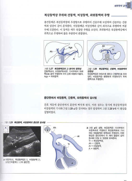 복부 초음파 진단 [복부스캔을 위한 단계적 안내서]