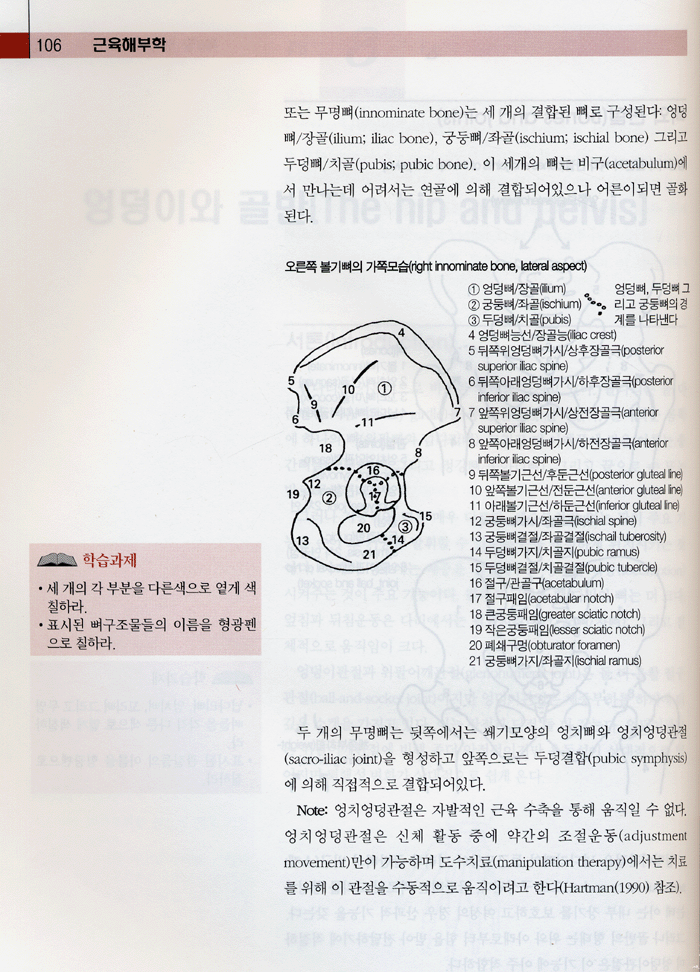 근육해부학