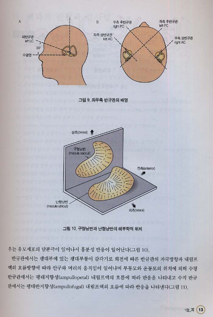 최신 임상이비인후과학