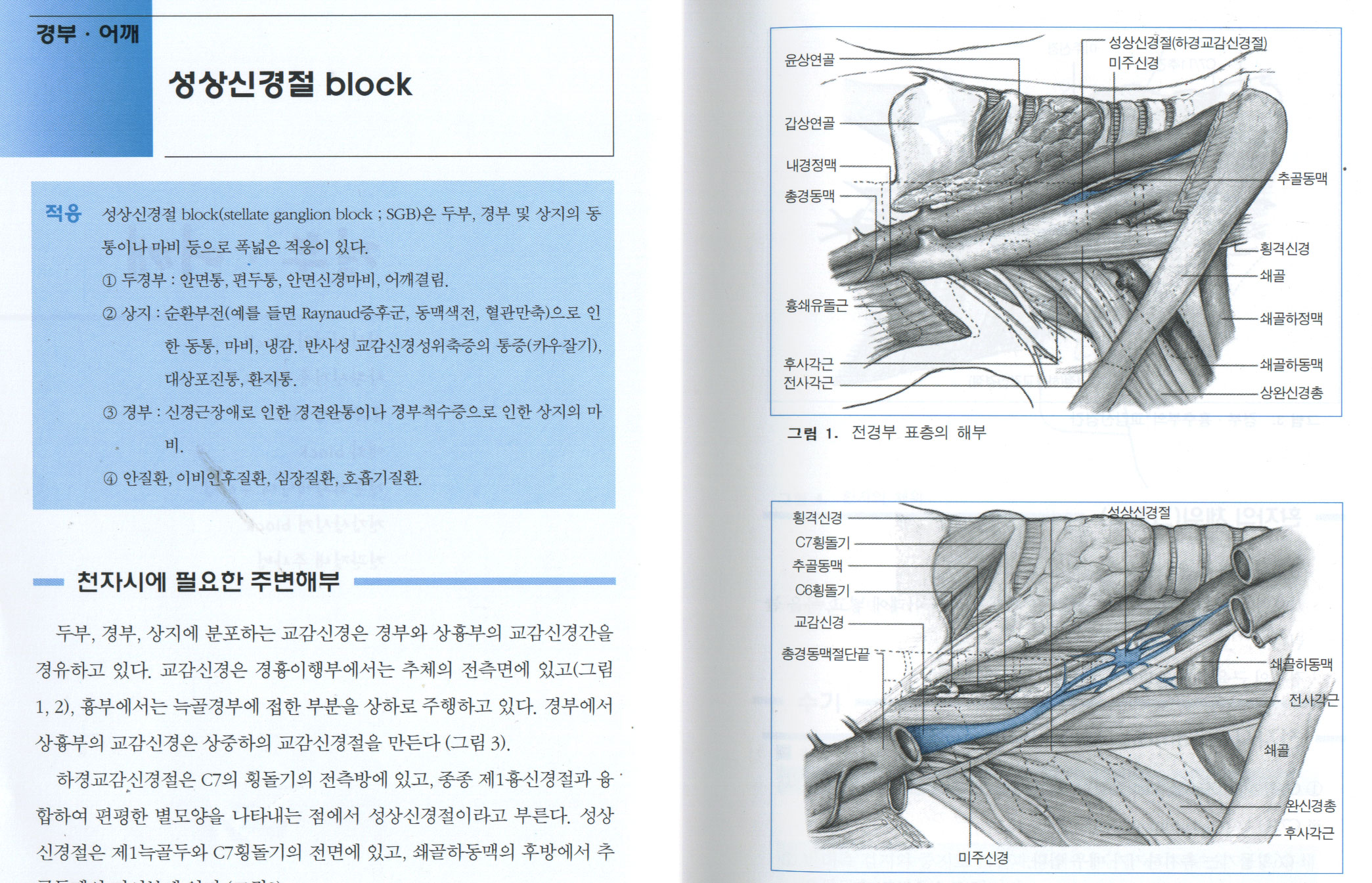 정형외과의를 위한 국소마취법 block요법 ABC