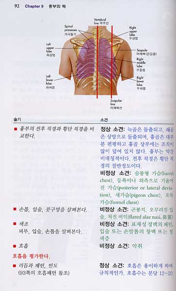 임상진단학 : Physical Examination Handbook