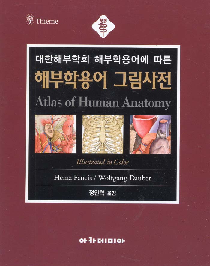 해부학용어 그림사전 Atlas of Human Anatomy