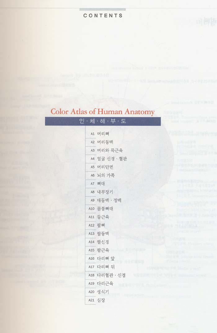 해부학용어 그림사전 Atlas of Human Anatomy