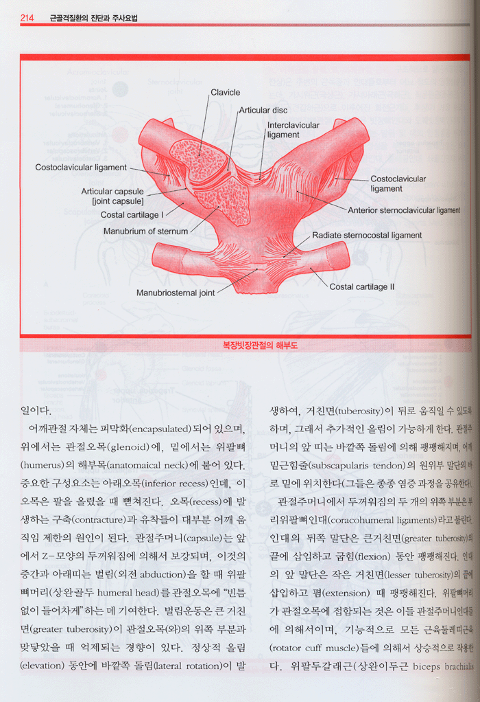 근골격질환의 진단과 주사요법-프롤로테라피의 임상적용(Diagnos