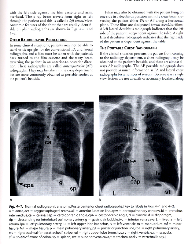 Basic Radiology