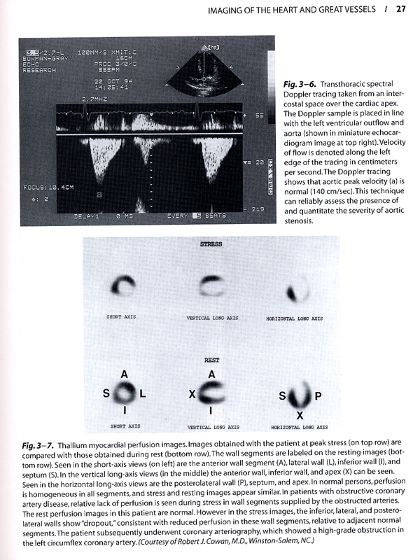 Basic Radiology