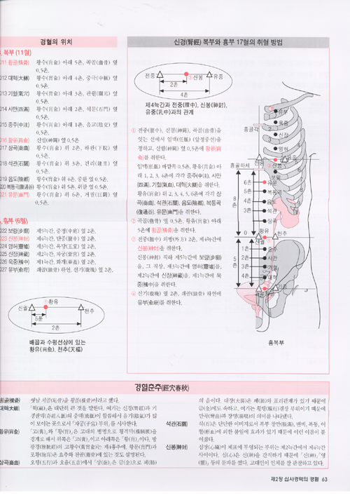 경혈MAP - 일러스트로 배우는 십사경혈,기혈,이혈,두침