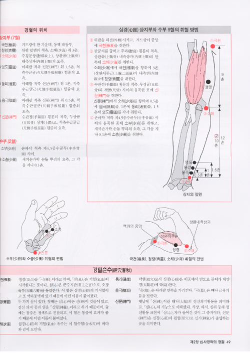 경혈MAP - 일러스트로 배우는 십사경혈,기혈,이혈,두침