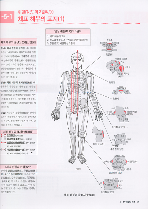 경혈MAP - 일러스트로 배우는 십사경혈,기혈,이혈,두침
