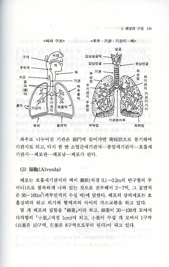 동양의학강좌 제3권(비장폐장신장편)