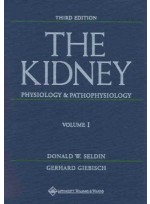 The Kidney Physiology and Pathophysiology