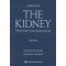 The Kidney Physiology and Pathophysiology