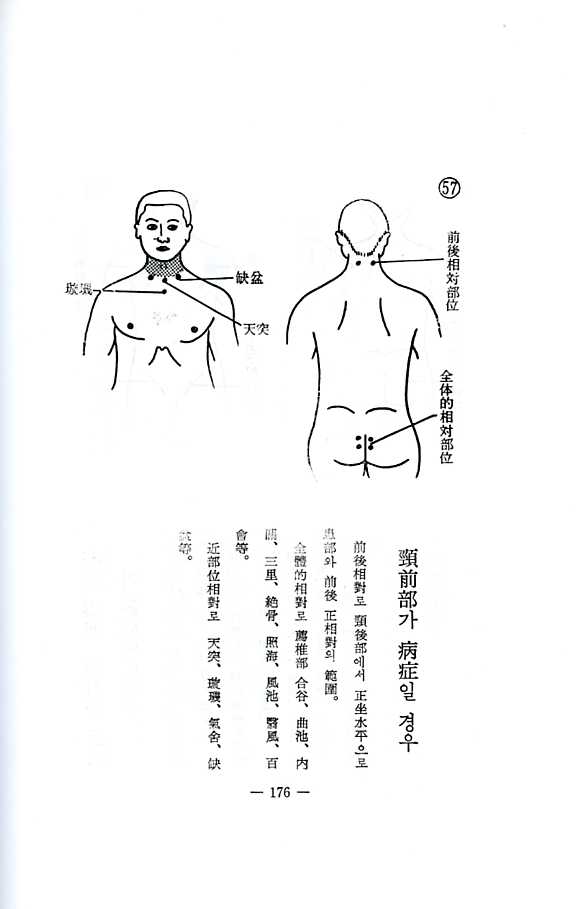 상대성침구법 (相對性鍼灸法)