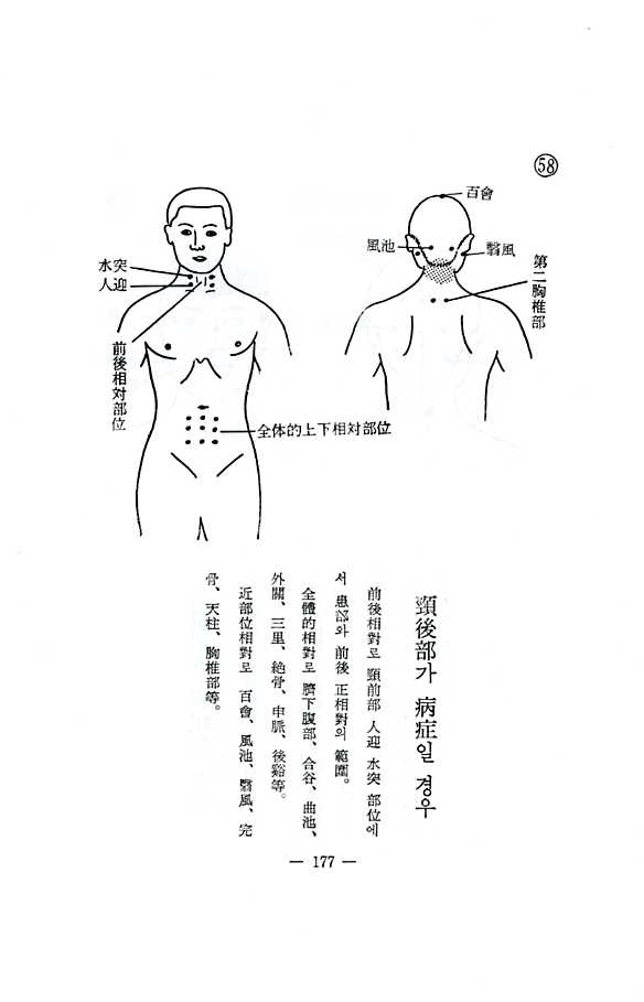 상대성침구법 (相對性鍼灸法)