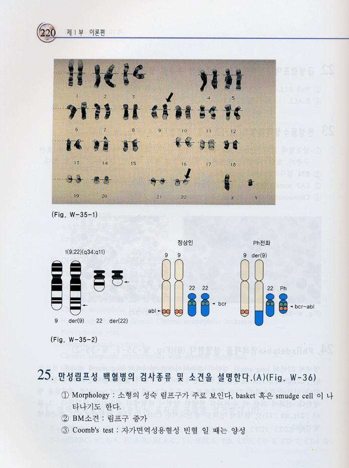 혈액학 이론 및 검사학