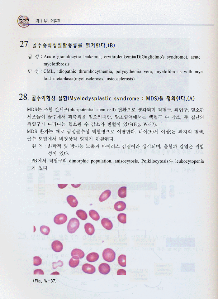 혈액학 이론 및 검사학